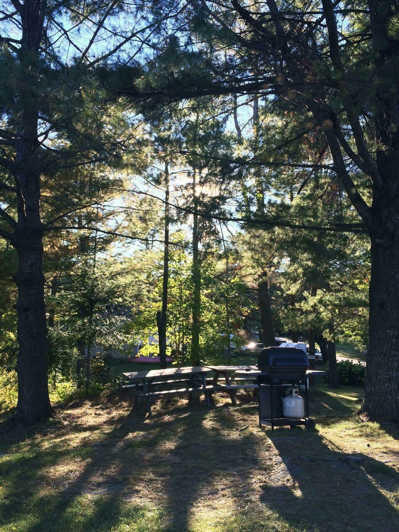 Pinedale Inn Грейвънхърст Екстериор снимка